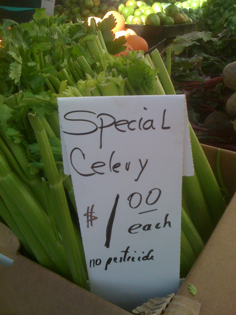 Special Celery at Larchmont Farmers Market