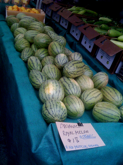 Organic Royal Melons - No Pesticide Sprayed