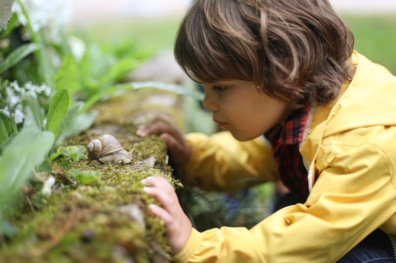 Hollywood Preschool Openings