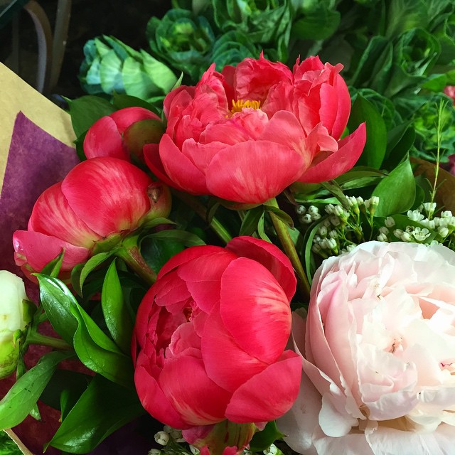 Larchmont Florist peonies for Mother's Day