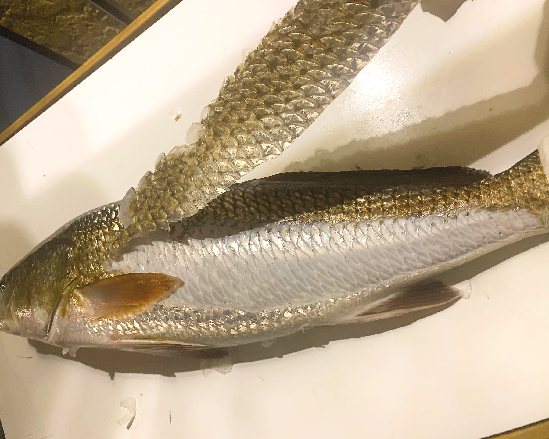 How To Scale A Fish